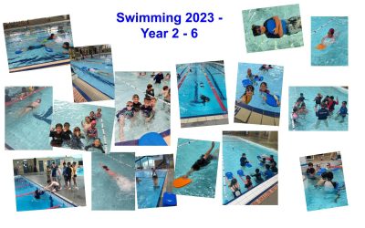 Swimming 2023