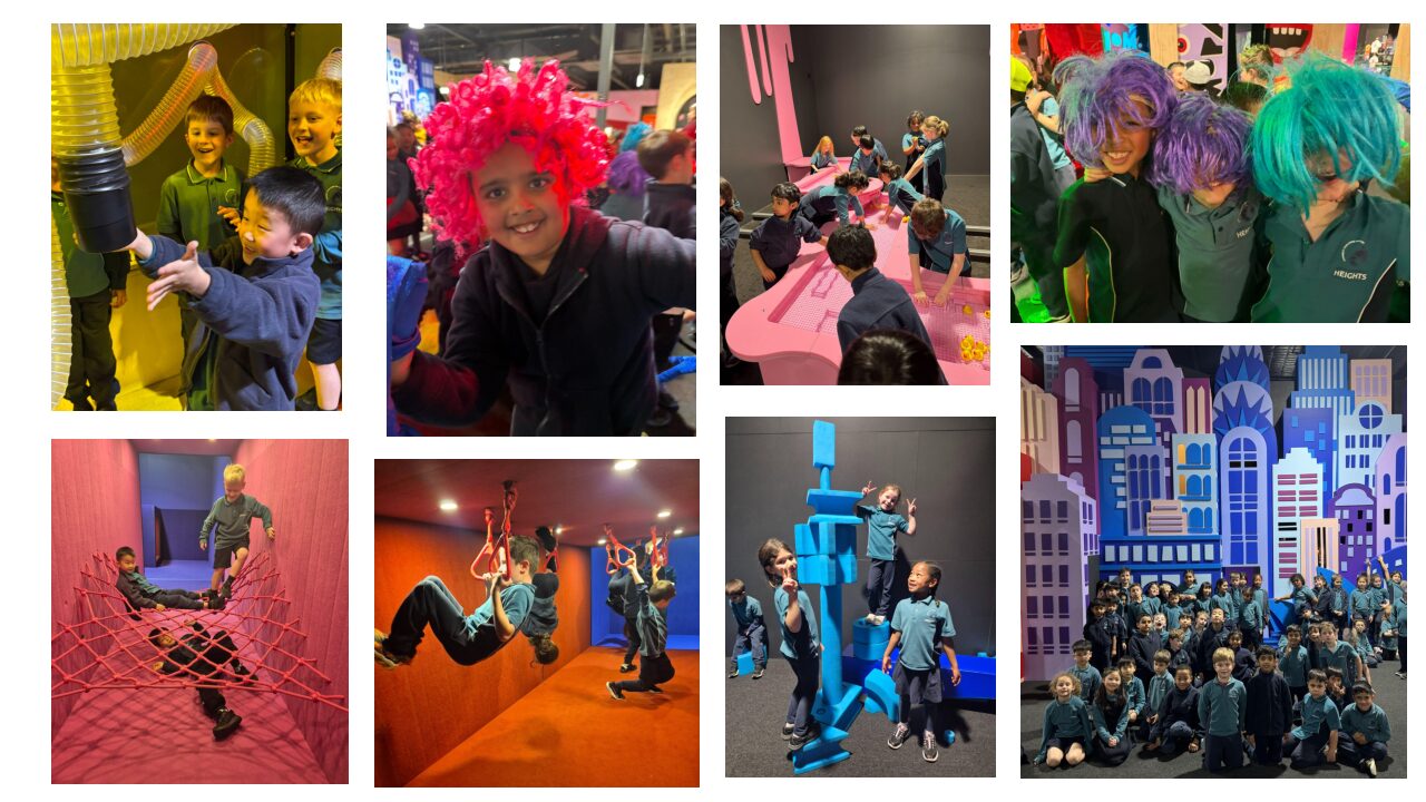MOPA Excursion – Year 1