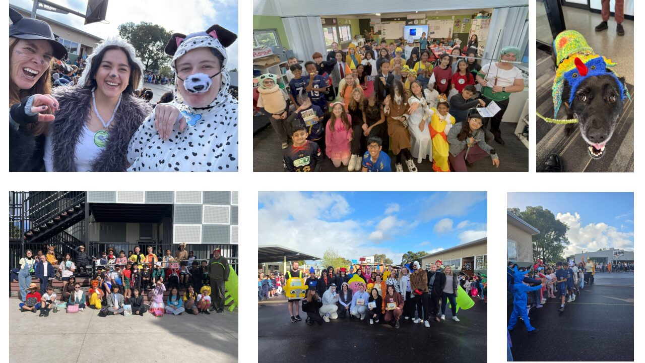Book Week – Dress Up Day