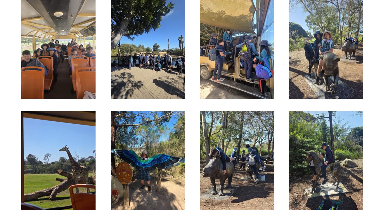 Year 4 – Werribee Zoo Excursion